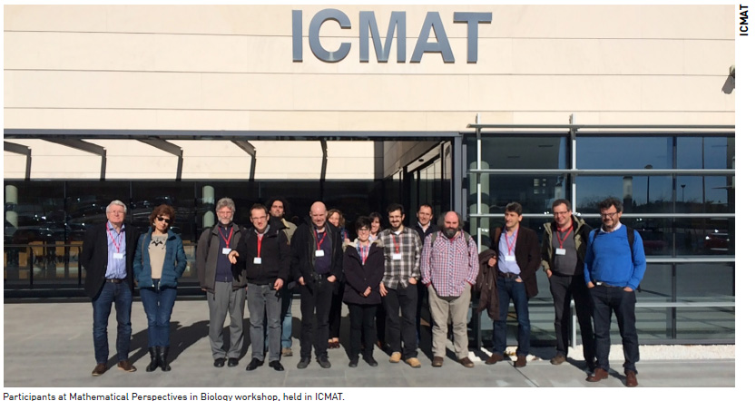 Participants at Mathematical Perspectives in Biology workshop, held in ICMAT. Participants at Mathematical Perspectives in Biology workshop, held in ICMAT.