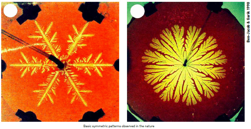 Basic symmetric patterns observed in the nature Basic symmetric patterns observed in the nature