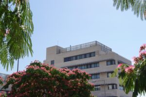 El ICMAT lanza un nuevo programa de colaboración matemática entre España y Latinoamérica