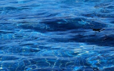 Pseudosolutions, a new approach to study the equations of fluids