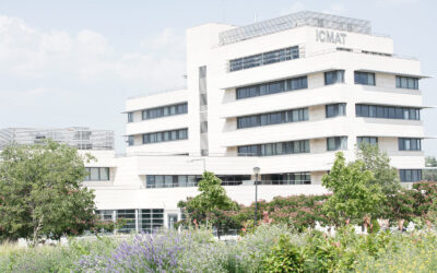 ICMAT launches a new scientific meeting on function fields, a cornerstone of number theory
