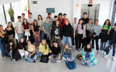 The lights and shadows of artificial intelligence, the geometry of soap bubbles, and the mathematics of spreading phenomena in the ICMAT’s 4ºESO+Empresa programme